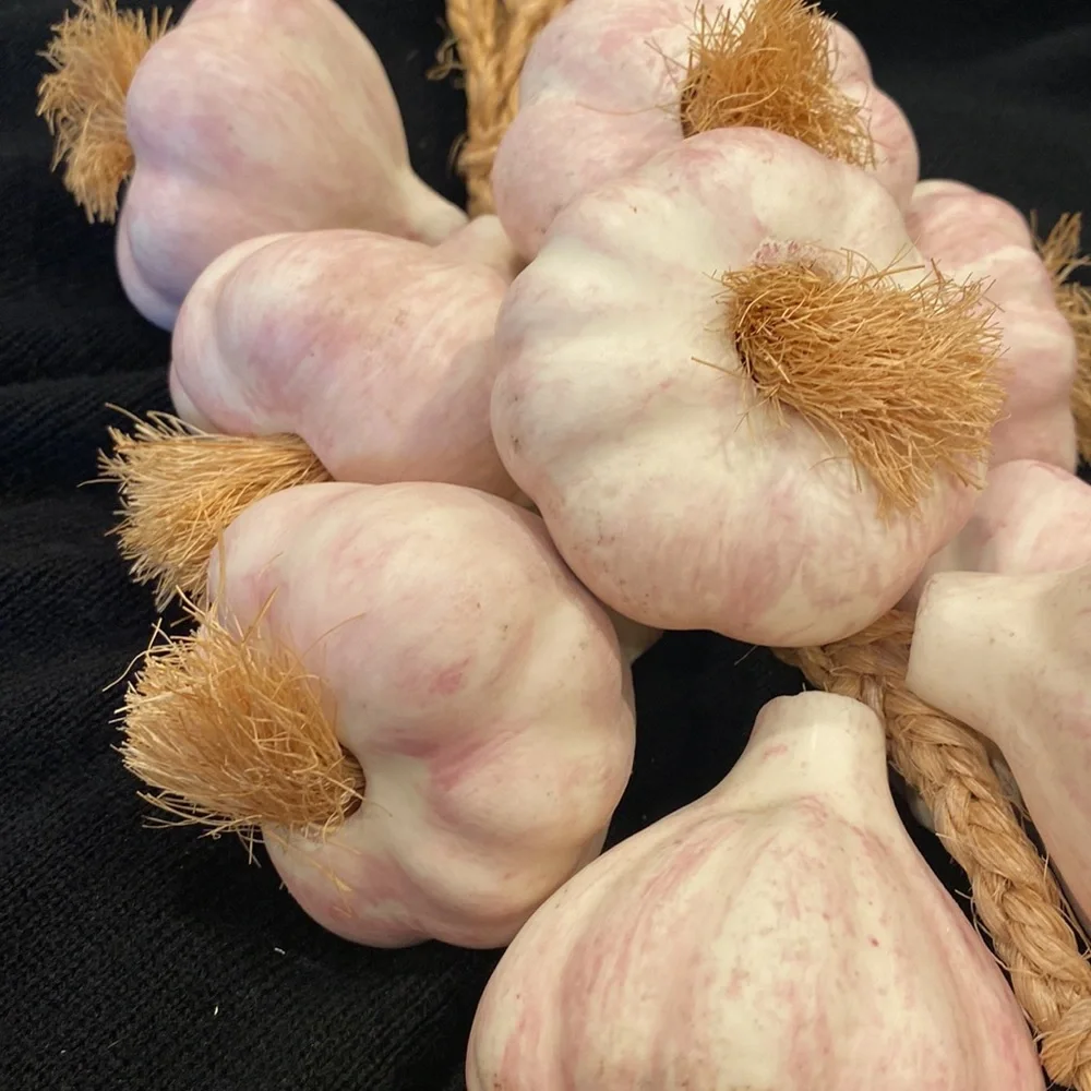 NOVICA 12 Garlic Bunch Ceramic decorative accent